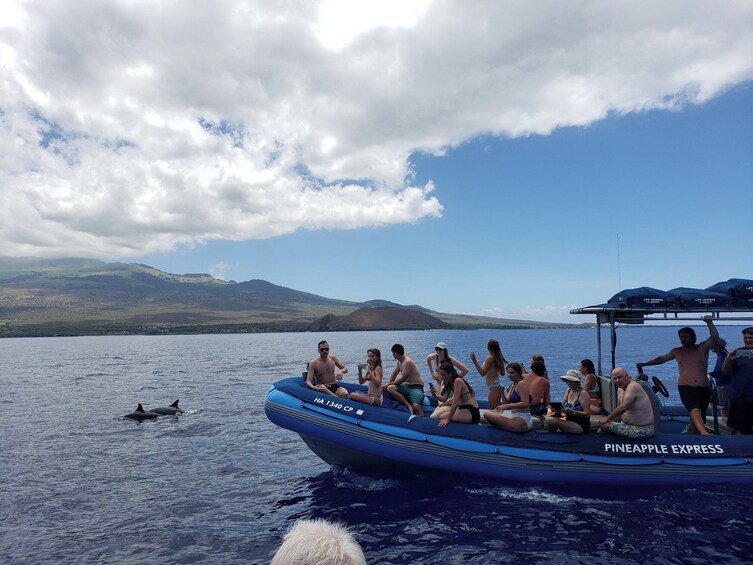 2.5 hour Whale Express/Molokini Snorkel (Seasonal)