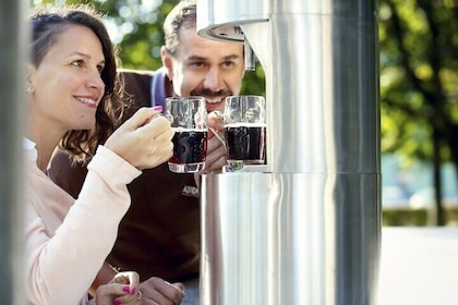 Day Trip to Beer Fountain from Ljubljana