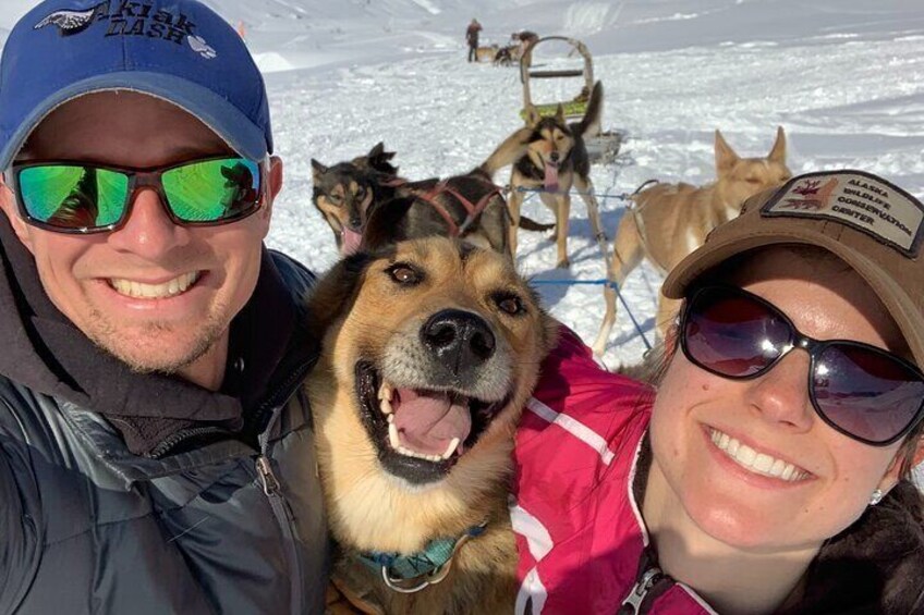 Private Dog Sledding Adventure in Alaska