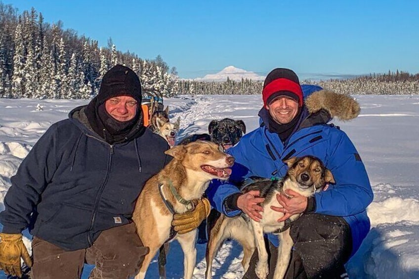 Dog Sledding Adventure in Willow, Alaska