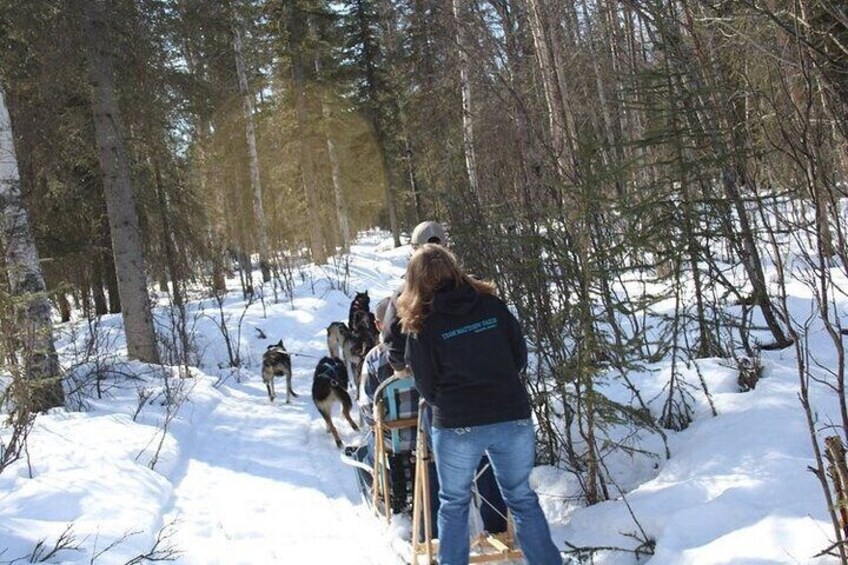 Private Dog Sledding Adventure in Alaska