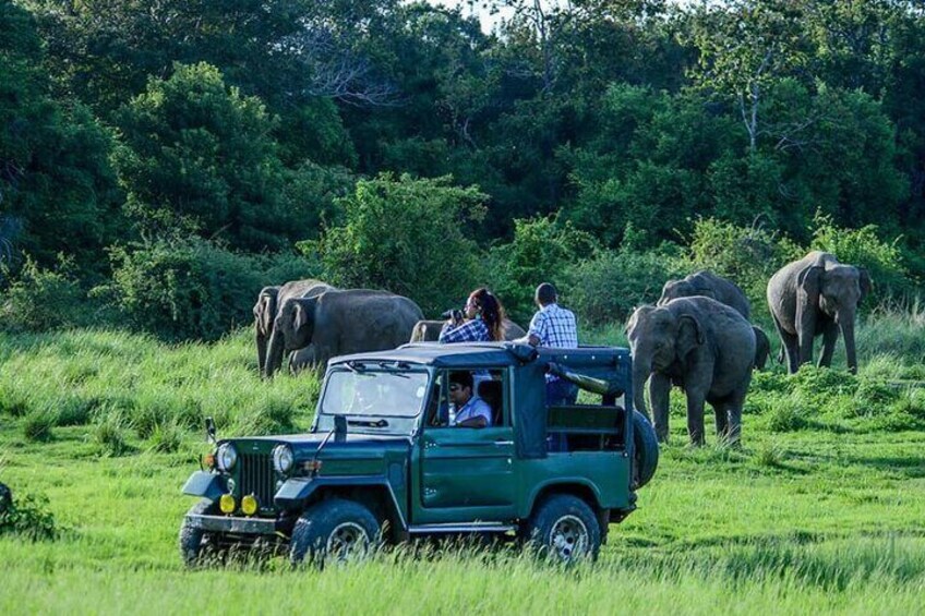 10-Day African Safari in Uganda from Kampala
