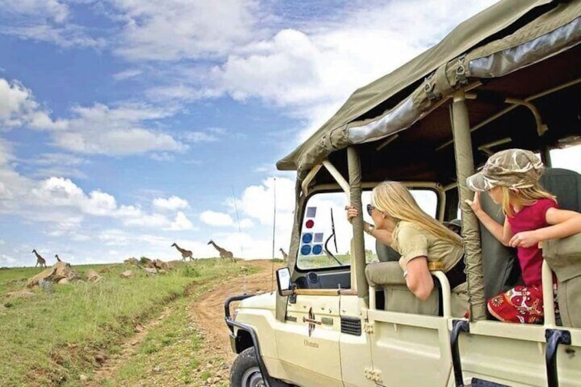 10-Day African Safari in Uganda from Kampala