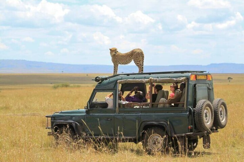 10-Day African Safari in Uganda from Kampala