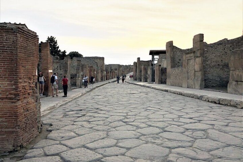 Quick Walking Guided Tour in Pompeii - 1 hour small group