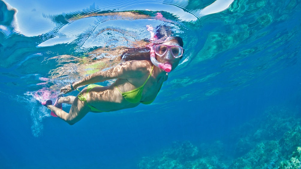 Snorkeler in Oahu