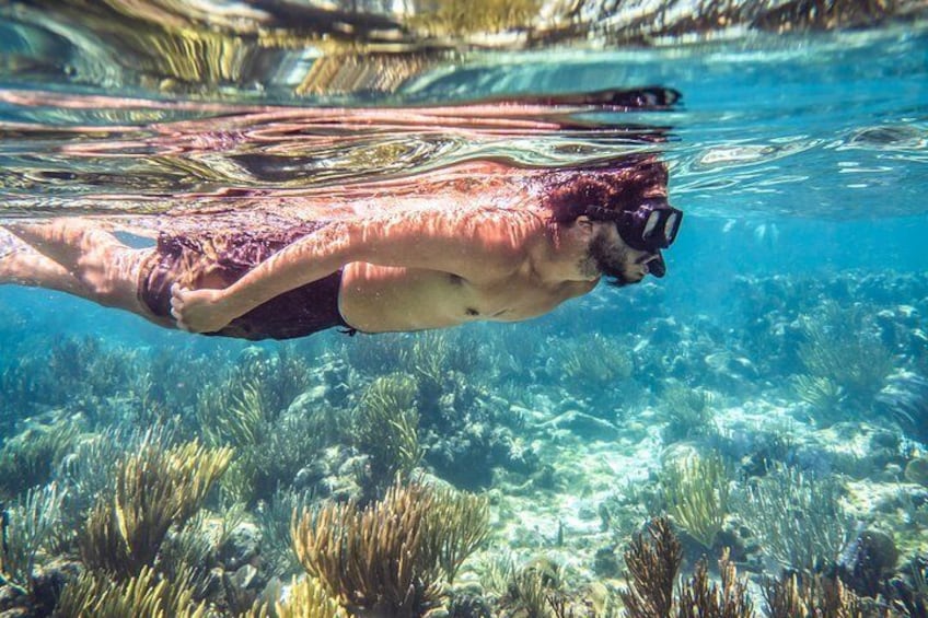 Stingray City, Snorkeling at Barrier Reef, Starfish Beach