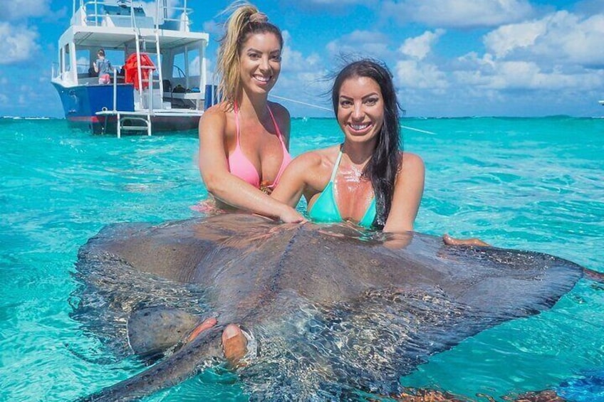 Starfish Point, Stingray City-Sandbar & Coral Gardens