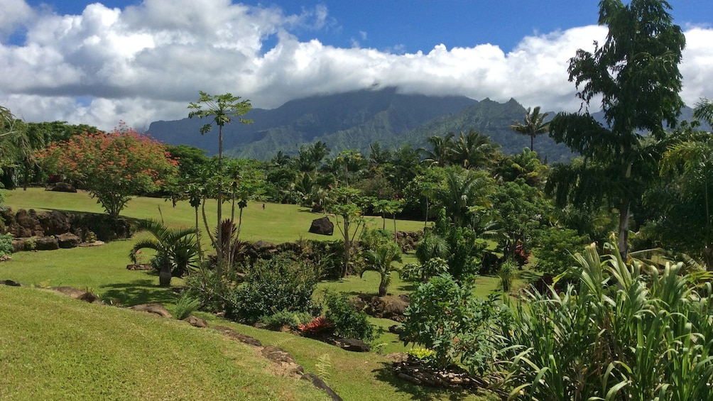 Show item 1 of 8. Garden view in Kauai
