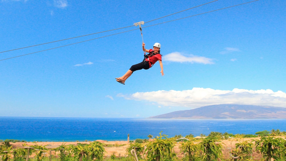 woman ziplining over a dragon fruit farm in Maui