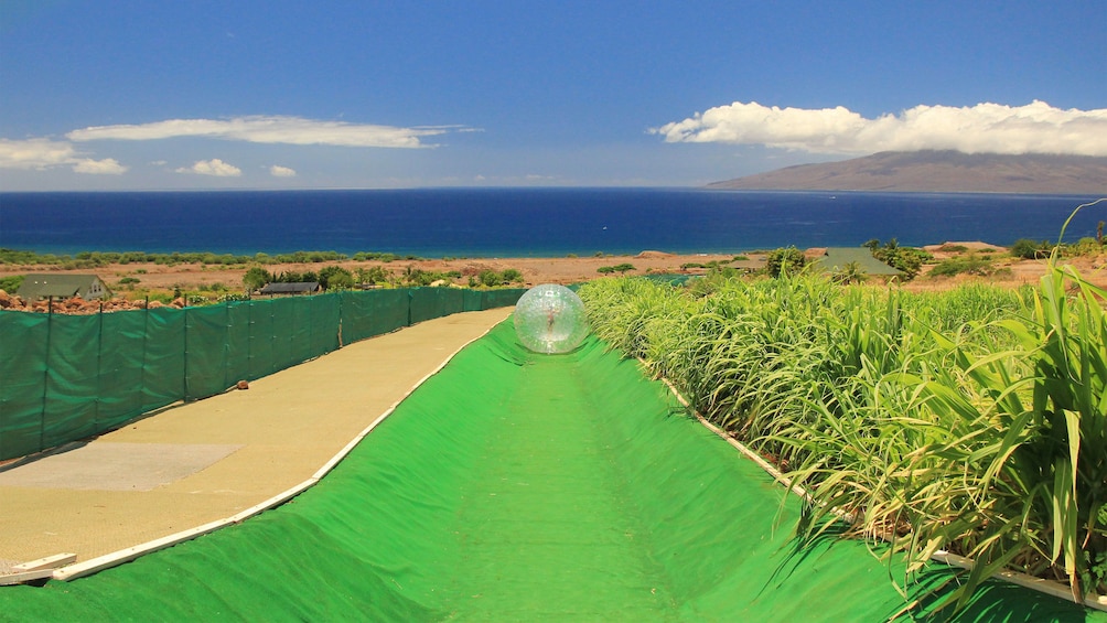 aquaball rolling down a course in Maui
