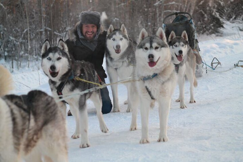 Husky Dog Sledding & Mushing with Pick up and Photo Service in Fairbanks, Alaska