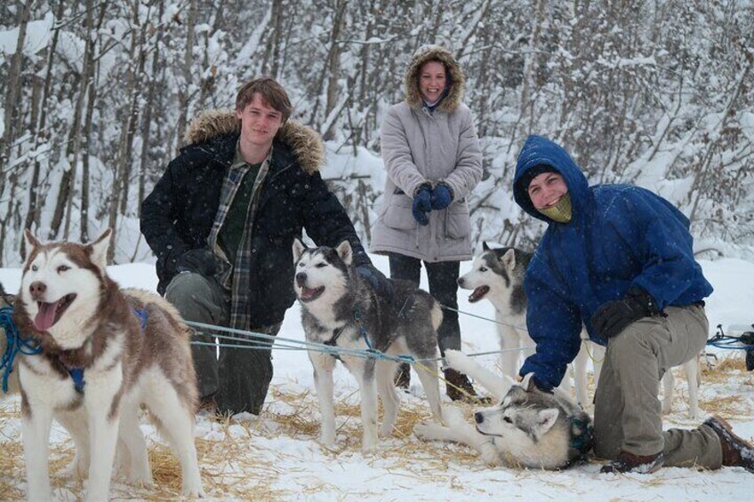 Husky Dog Sledding & Mushing with Pick up and Photo Service in Fairbanks, Alaska