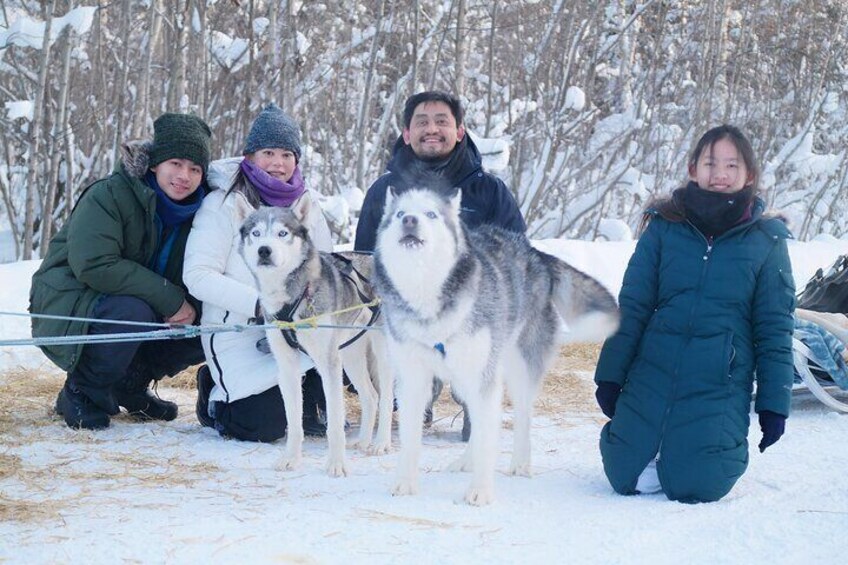 Husky Dog Sledding & Mushing with Pick up and Photo Service in Fairbanks, Alaska