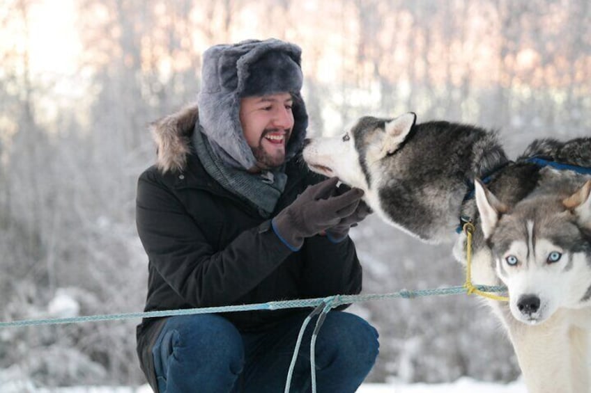 Husky Dog Sledding & Mushing with Pick up and Photo Service in Fairbanks, Alaska