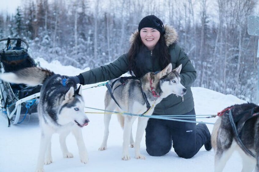 Husky Dog Sledding & Mushing with Pick up and Photo Service in Fairbanks, Alaska