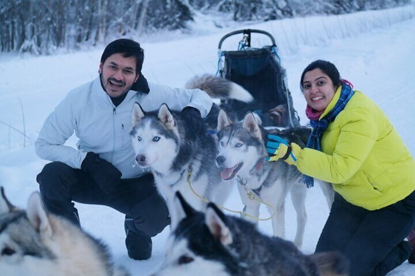 Husky Dog Sledding & Mushing with Pick up and Photo Service in Fairbanks, Alaska