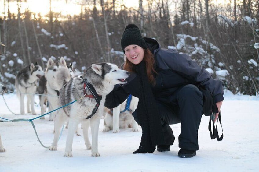 Husky Dog Sledding & Mushing with Pick up and Photo Service in Fairbanks, Alaska