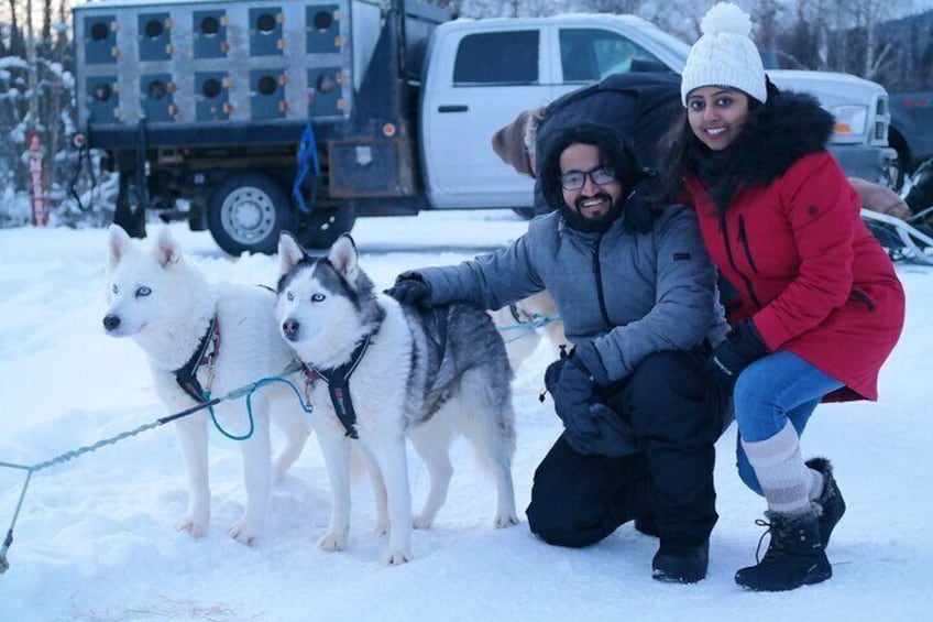 Husky Dog Sledding & Mushing with Pick up and Photo Service in Fairbanks, Alaska