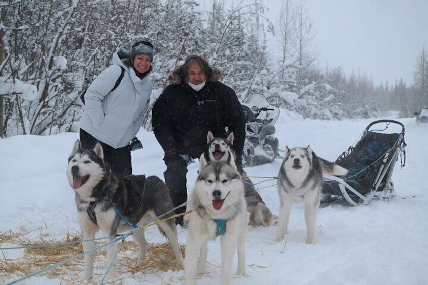 Husky Dog Sledding & Mushing with Pick up and Photo Service in Fairbanks, Alaska