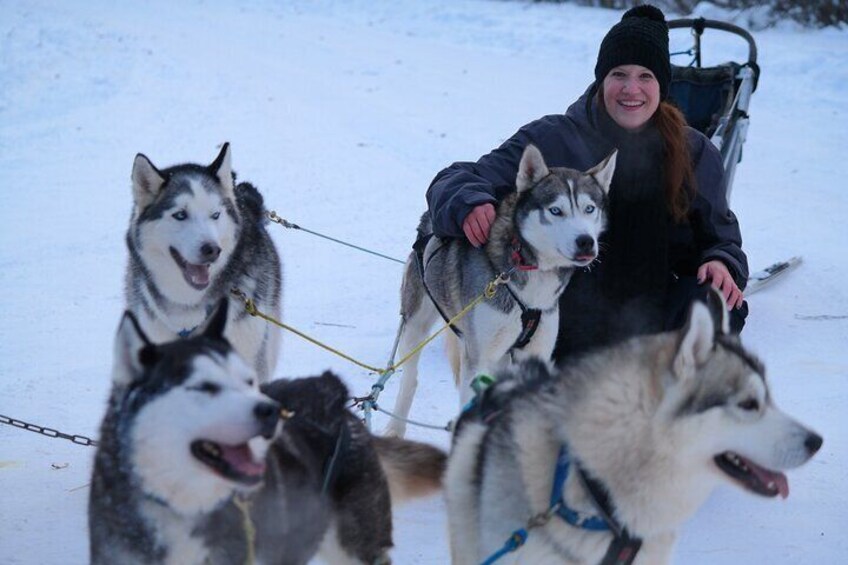 Husky Dog Sledding & Mushing with Pick up and Photo Service in Fairbanks, Alaska