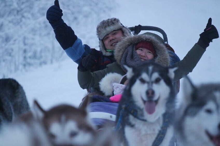 Husky Dog Sledding & Mushing with Pick up and Photo Service in Fairbanks, Alaska