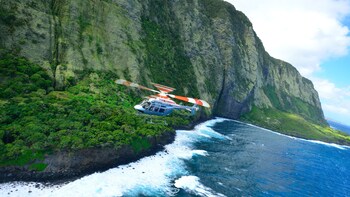 Volcano & Waterfall Flight with Rainforest Landing