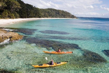 Half-Day Jervis Bay Sea Kayak Tour