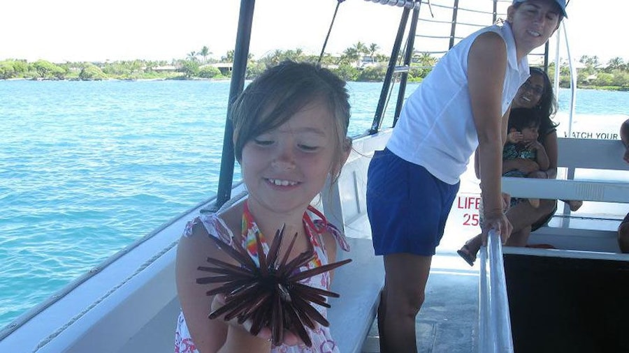 Young girl holding a sea urchin on the glass bottom boat in the Pacific Ocean near the Big Island of Hawaii