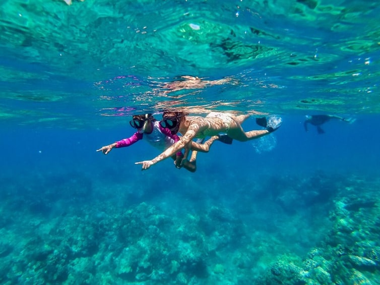 Snorkel Adventure Departing Anaeho'omalu Bay