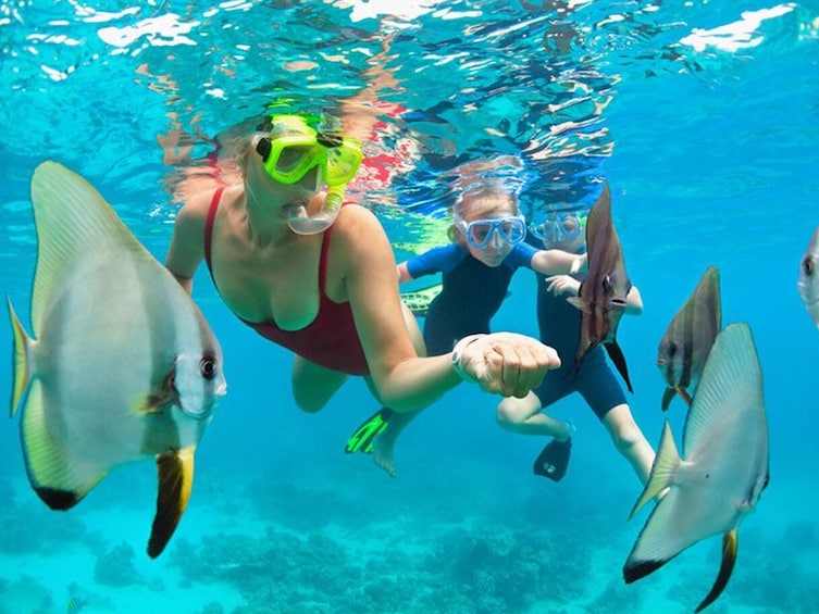 Snorkel Adventure Departing Anaeho'omalu Bay