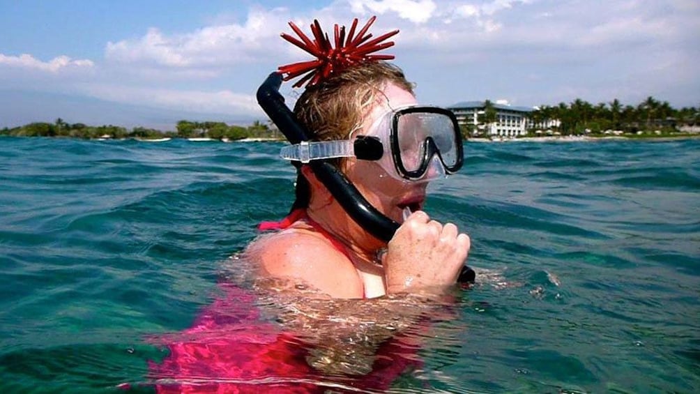 snorkeler with sea urchin on their head in hawaii