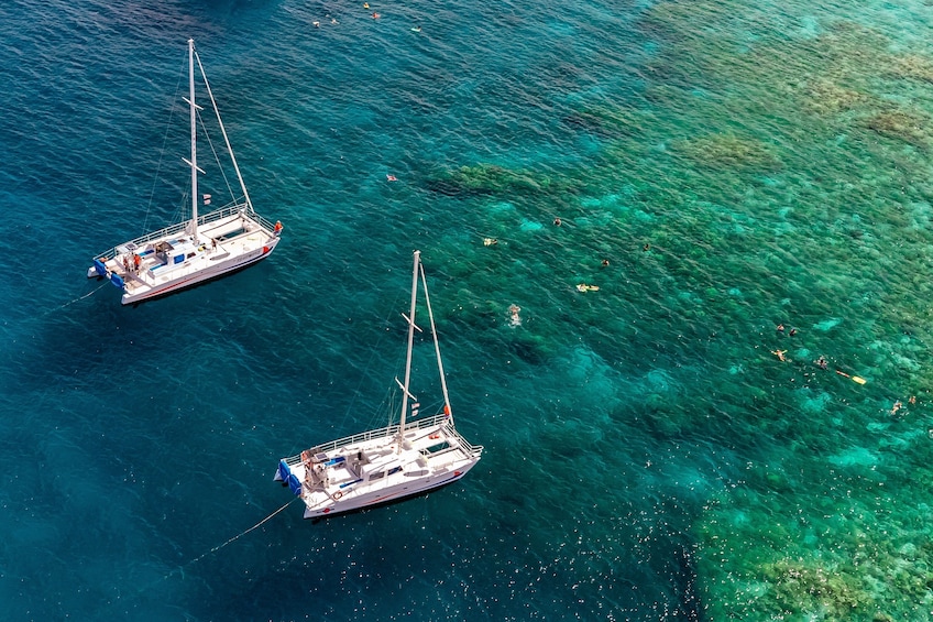 Kohala Coast Snorkeling & Sailing Tour