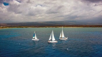 Kohala Coast Snorkelling & Sailing Tour