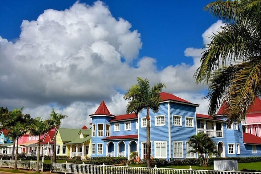 Samaná Experiencies from Punta Cana
