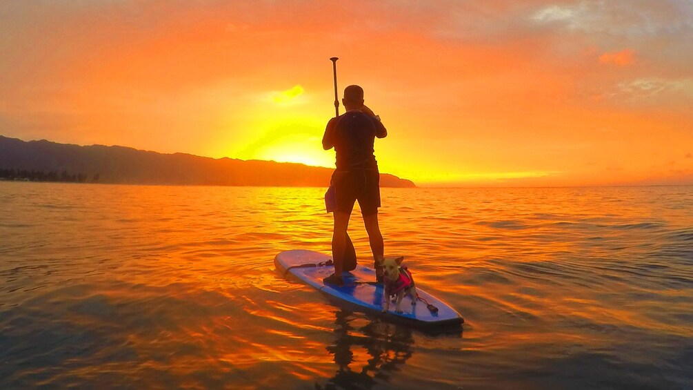 Haleiwa Sunset StandUp Paddling Adventure