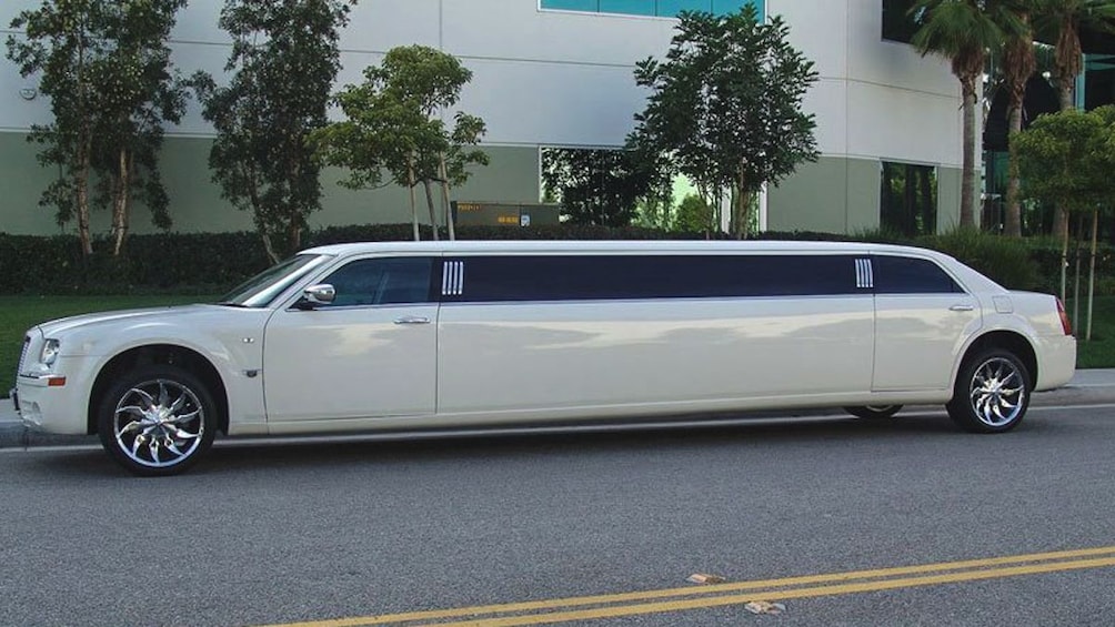 Stretch limo parked on street.