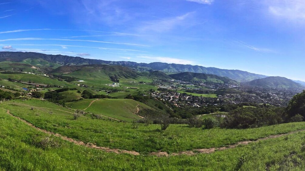 Aerial shot of wine vineyard.