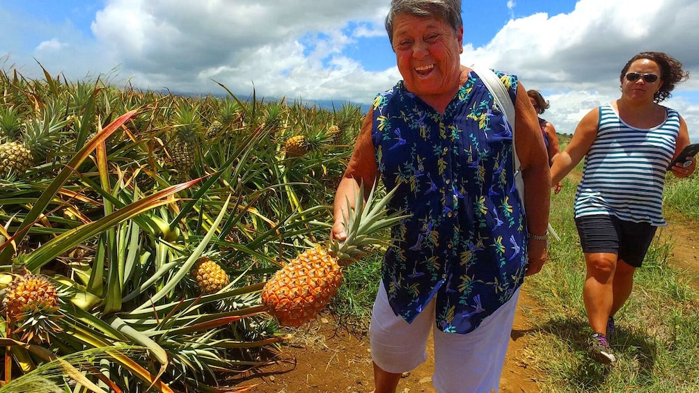 Guided Pineapple Plantation Tour