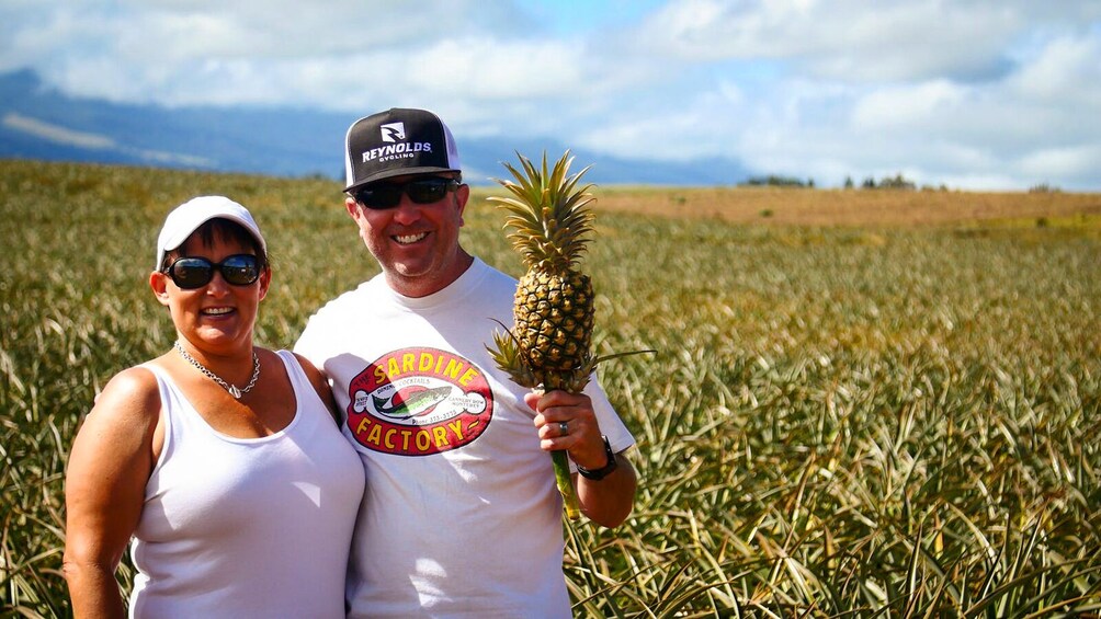 Guided Pineapple Plantation Tour