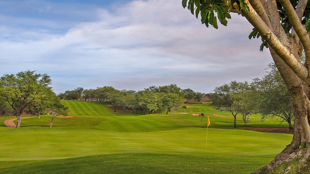 Lush green golf course in Maui