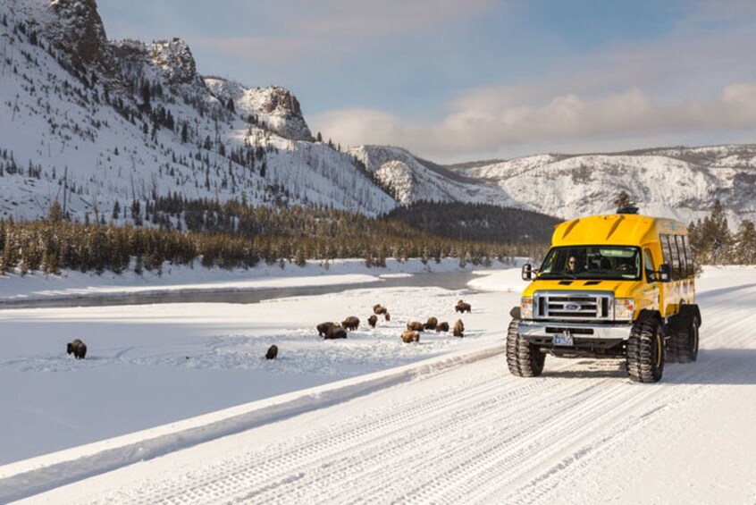 WINTER Grand Teton & Yellowstone 4-Day Tour