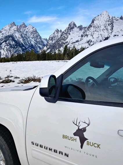 Show item 3 of 10. WINTER Grand Teton & Yellowstone 4-Day Tour