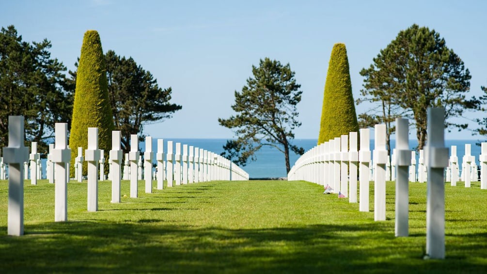 rows of white cross headstones