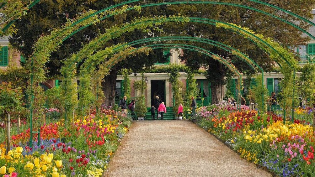 flower garden lining path