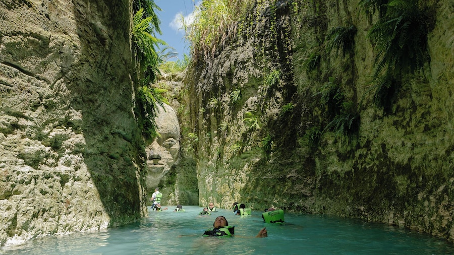 Sacred River, Cenotes, Jungle River and Waterfall Pool + Dominican Lunch