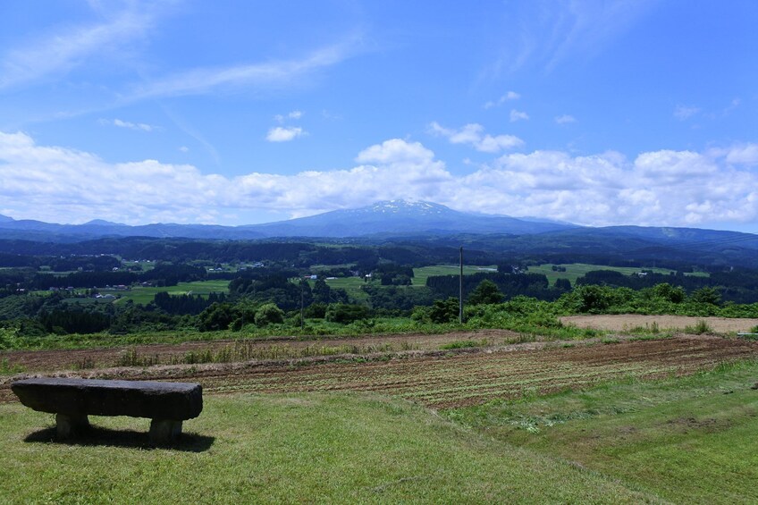 Train Driving Experience and Zazen Experience