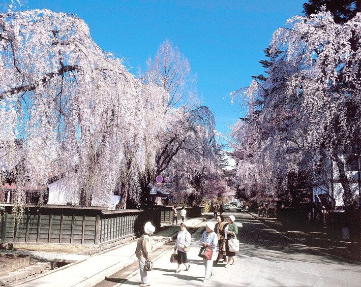 Let's Walk the samurai house in Kimono