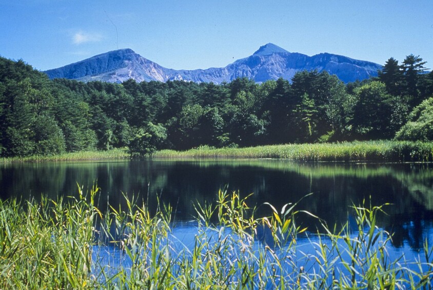 A Walk in Tsuruga Castle and Five Colored Lakes in Fukushima