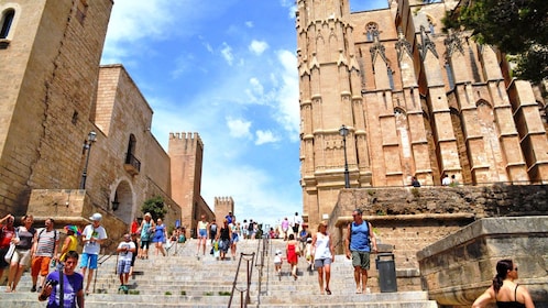 mallorca palma sightseeing shopping expedia